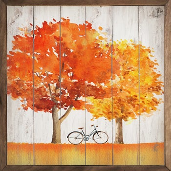 Autumn Trails